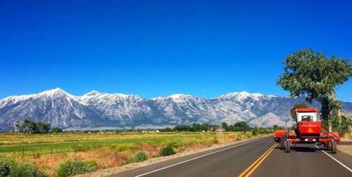 WhyCV