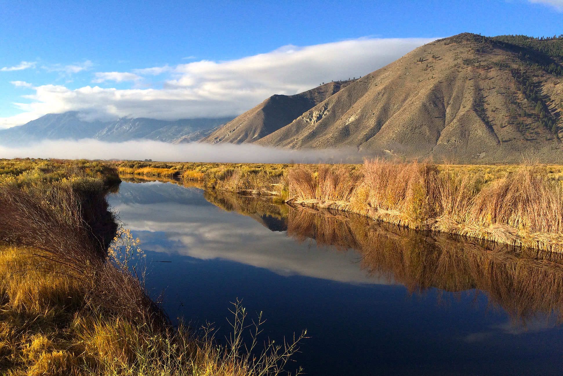 blog_banner Carson Valley, Nevada Genoa, Gardnerville, Minden