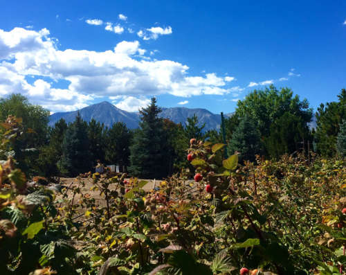 Jaunt Through Gardnerville - Carson Valley, Nevada | Genoa ...