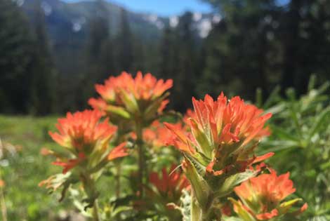 Kingsbury South to Big Meadow – Tahoe Rim Trail