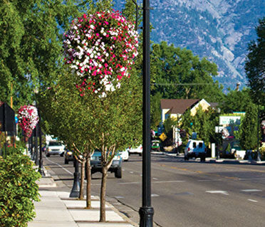 Main Street Gardnerville