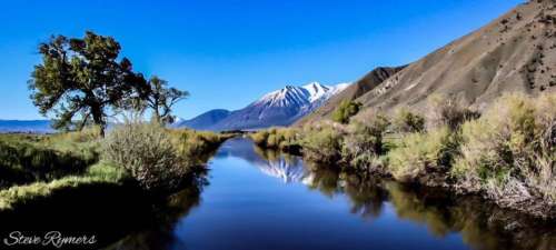 Whycv honorable mention