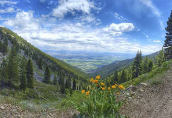 BlogChrisDickersonSierraCanyontrail