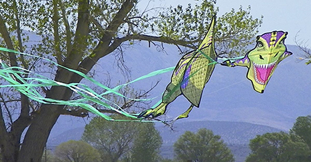 Kite-Dangberg