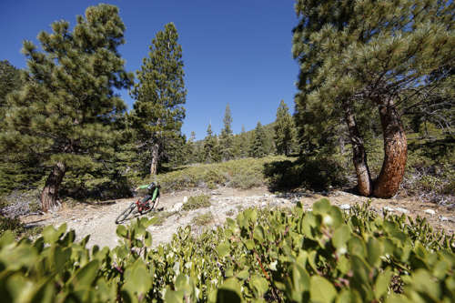 Sierra Canyon Trail, Genoa, Nevada