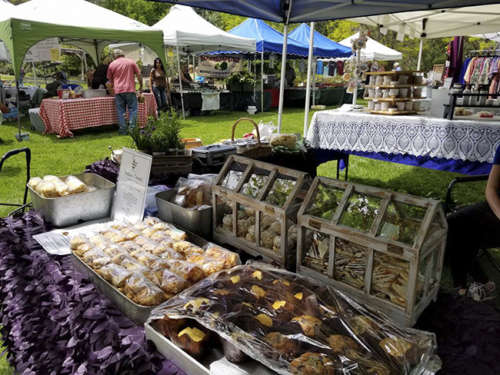 Sierra Chef Farmers Market - Genoa