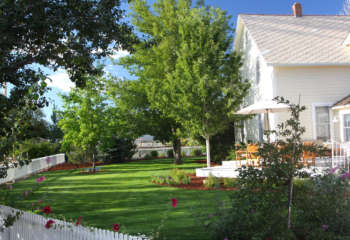 yard back