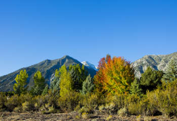fallscenicblog