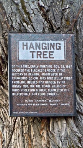Hanging Tree sign