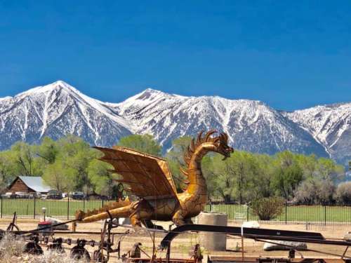 gardnerville dragon