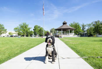 SallythedoginMindenParksm