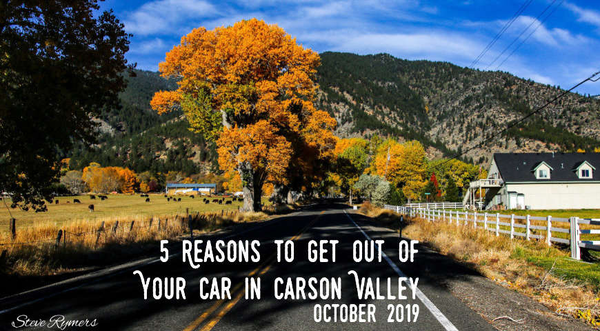5 reasons October 2019