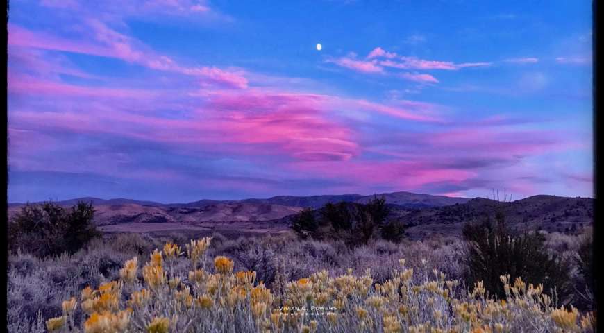 VivianPowersFallSunset