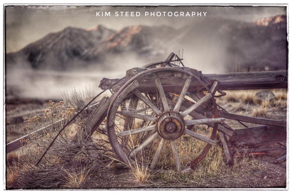 #WhyCV Photographer Spotlight: Kim Steed - Carson Valley, Nevada ...