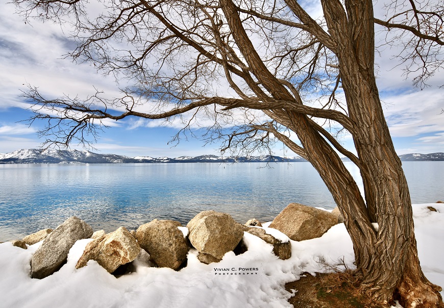 lake tahoe vivian powers winter