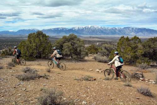 mountain bikes on Pinyon Trail