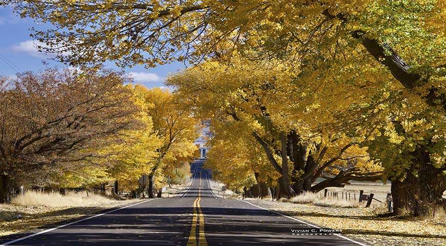 VivianPowersFall19blog870x480
