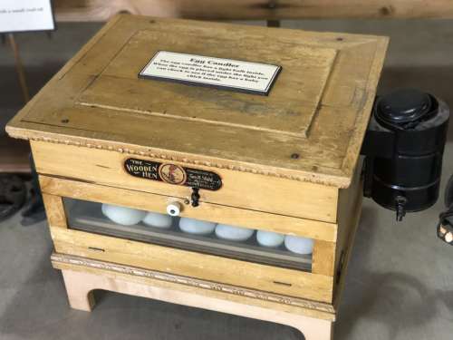 Wooden Hen Egg Candler