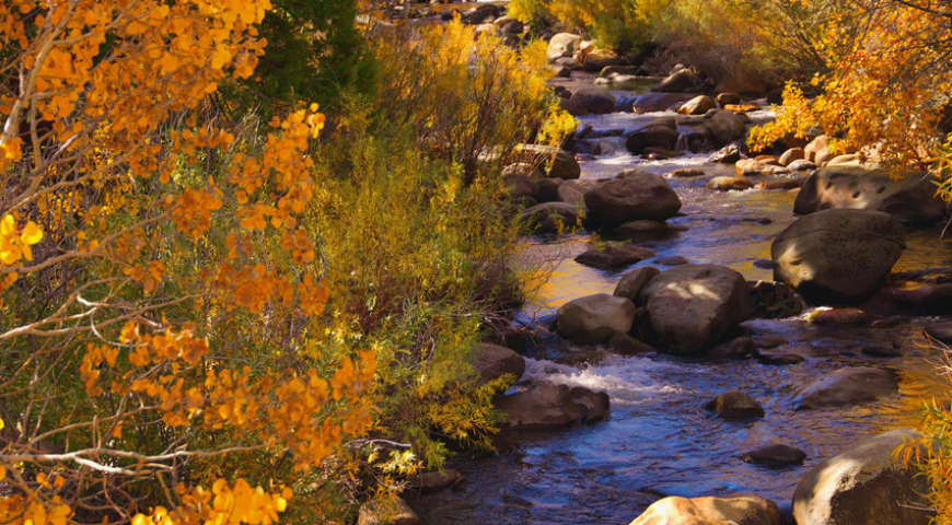troywrightwoodfordsFallalongCarsonRiver