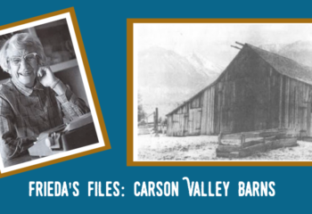 CV barns Frieda