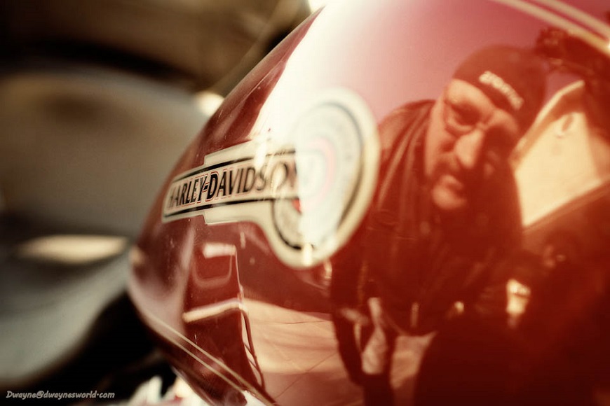harley reflection