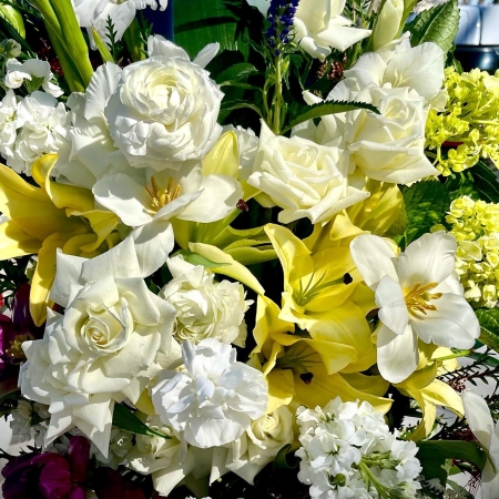 The Floral Apothecary